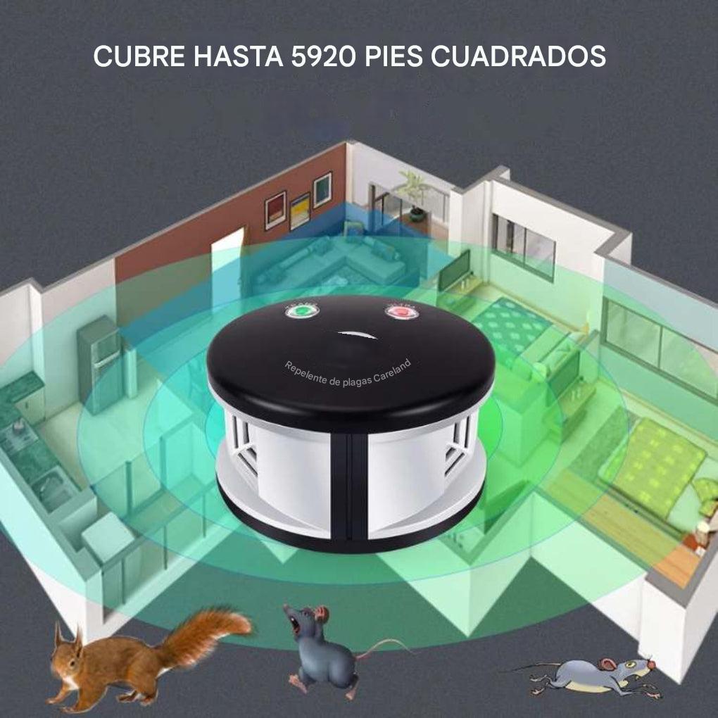 Repelente ecológico para ratas de interior