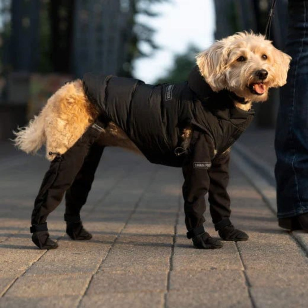 Botas Duraderas para Perros