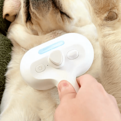 Cepillo a Vapor BrushPaw para Perros
