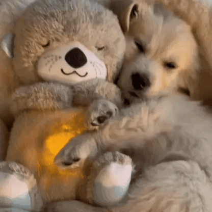 Tranquilidad y Confort en un Abrazo