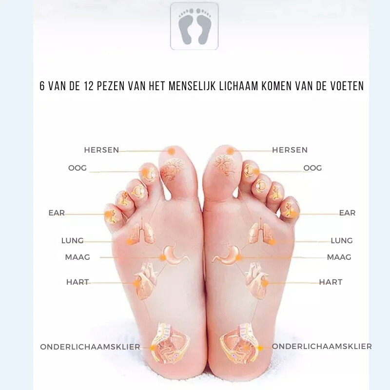 Relajación y Bienestar en Cada Paso