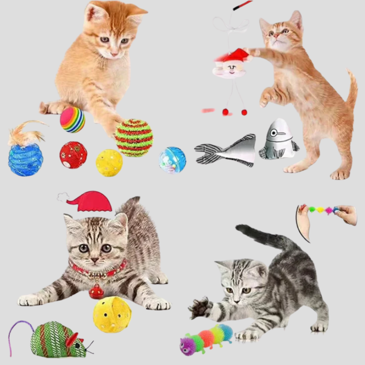 Calendario de Adviento para Juguetes de Gatos Kit Interactivo de 24 Días