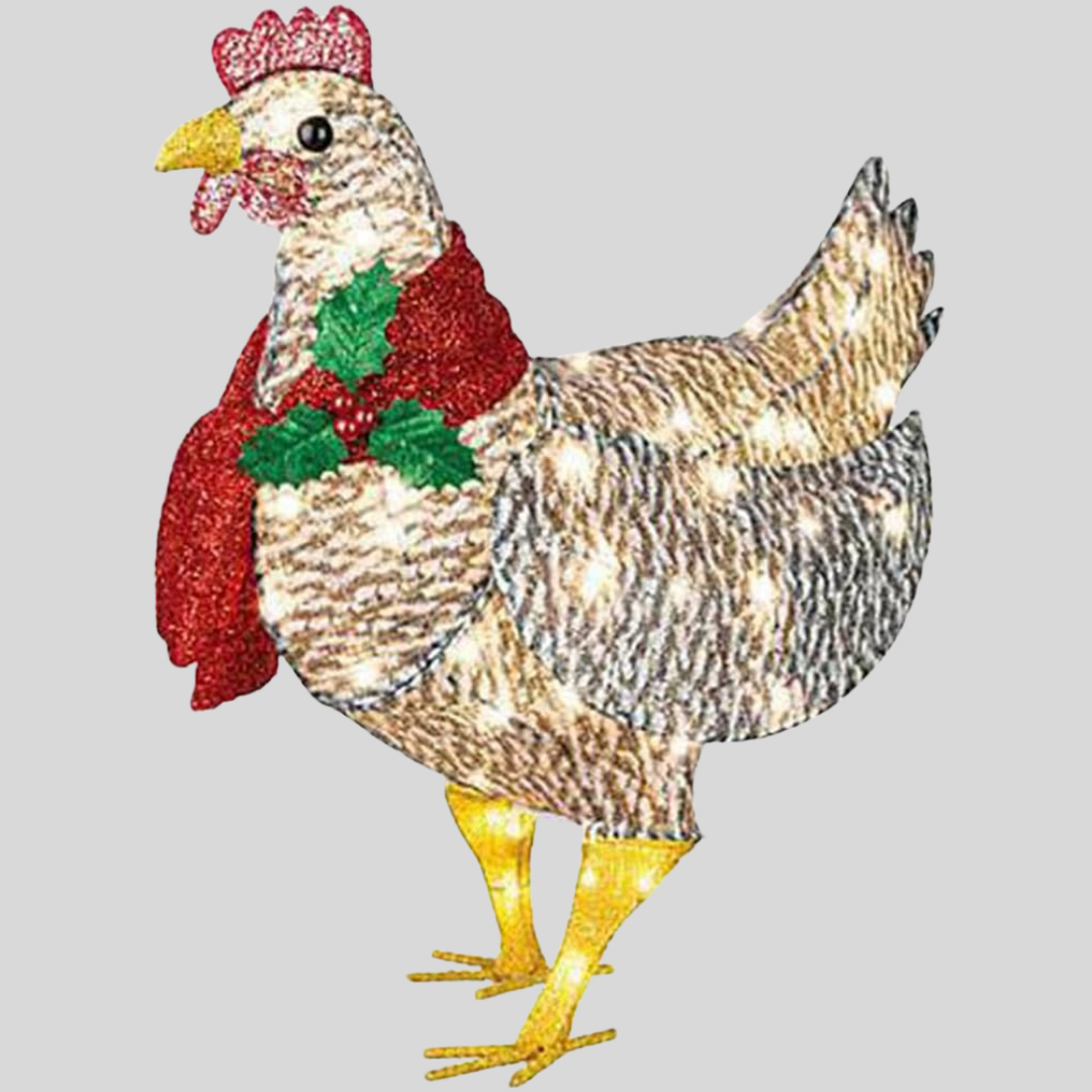 Pollo Iluminado con Decoración de Bufanda