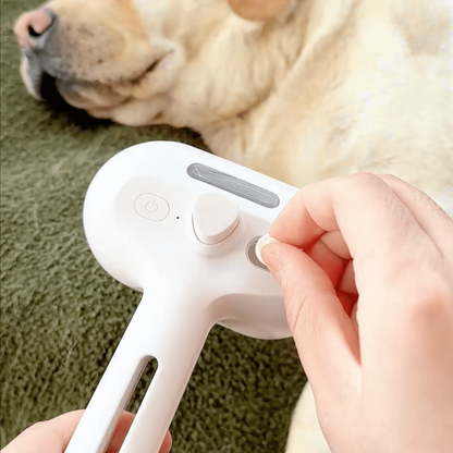 Cepillo a Vapor BrushPaw para Perros