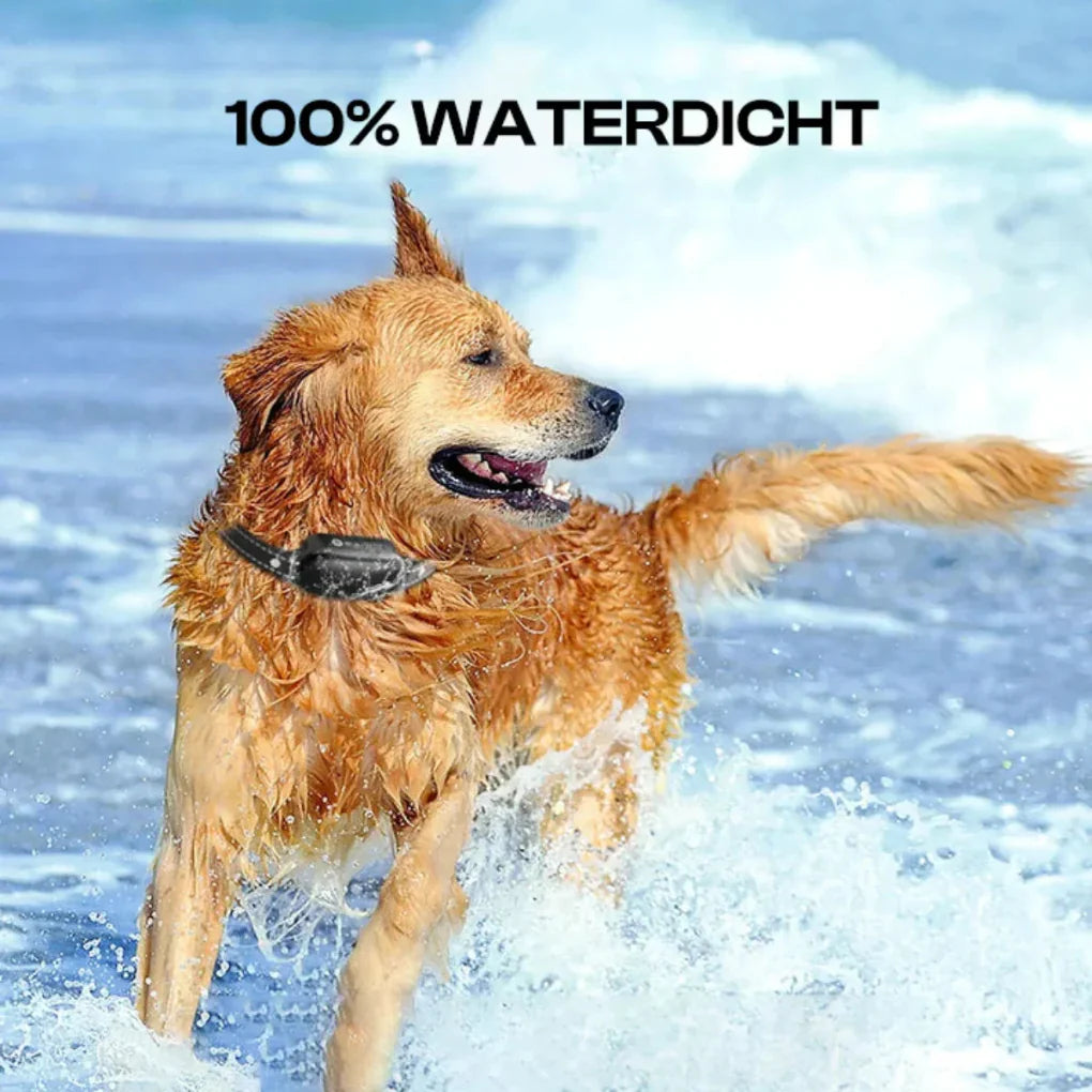 Collar de Entrenamiento para Perros Eléctrico con Control Remoto