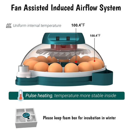 Incubadora de 15 Huevos con Control Automático de Humedad