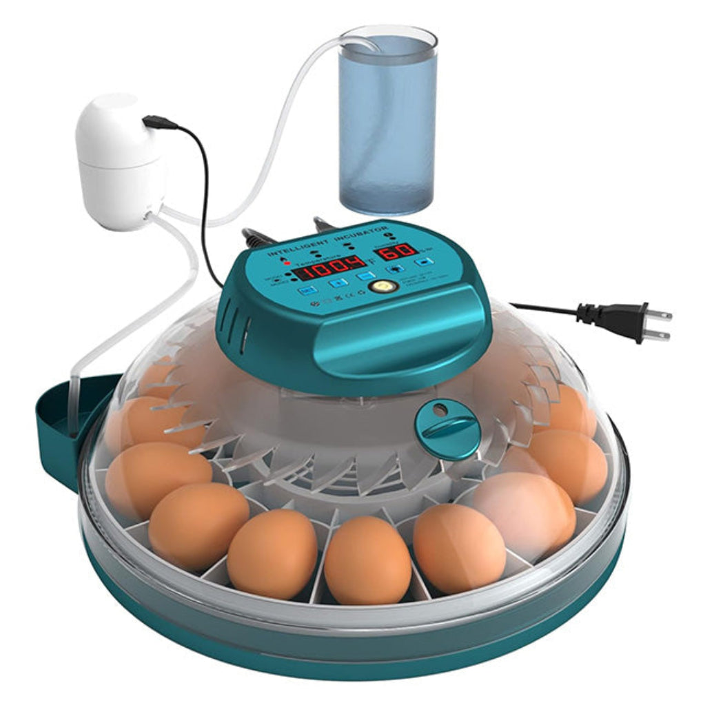 Incubadora de 15 Huevos con Control Automático de Humedad