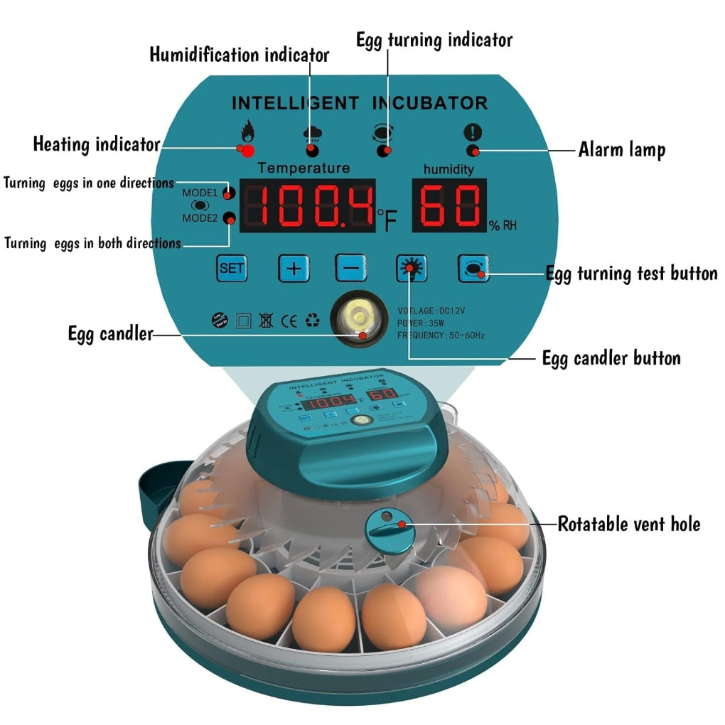 Incubadora de 15 Huevos con Control Automático de Humedad