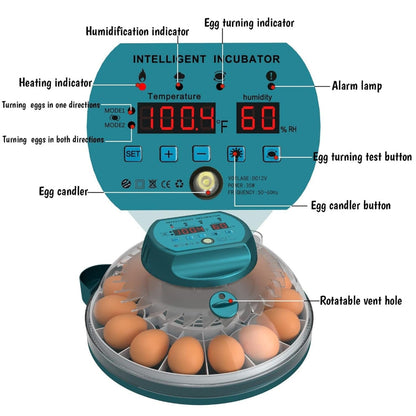 Incubadora de 15 Huevos con Control Automático de Humedad