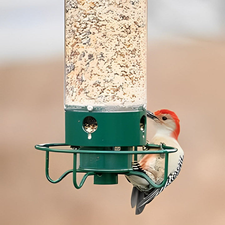 Comedero para Pájaros a Prueba de Ardillas
