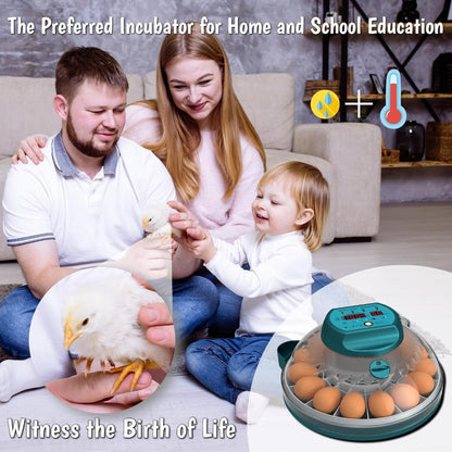 Incubadora de 15 Huevos con Control Automático de Humedad