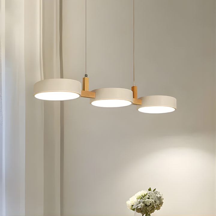Luz de Techo de Metal Moderno