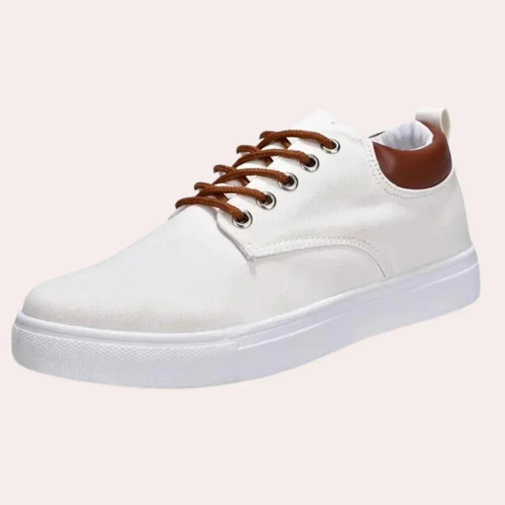 Zapatos de primavera para hombre
