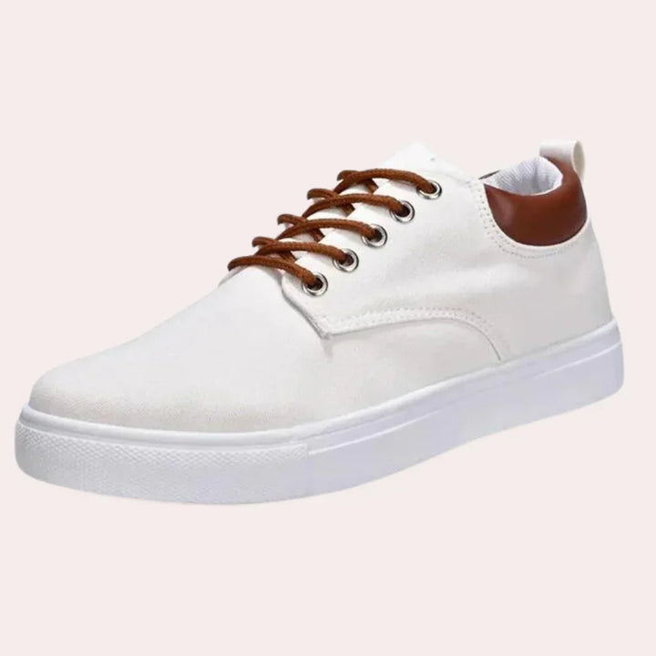 Zapatos de primavera para hombre