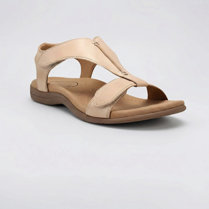 Daylux - Sandalia con correa ajustable y buen soporte