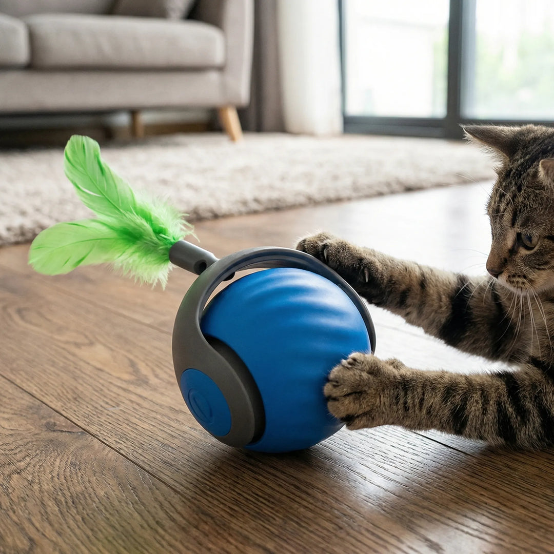 Rollova - Juguete para gatos que se activa con el movimiento y se autoenrolla