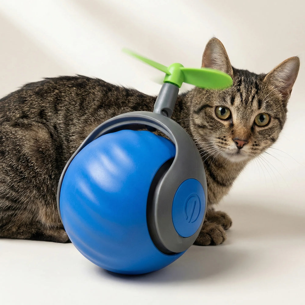 Rollova - Juguete para gatos que se activa con el movimiento y se autoenrolla