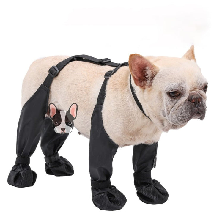 Botas Duraderas para Perros