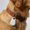 Rastreador de Collar GPS Compacto