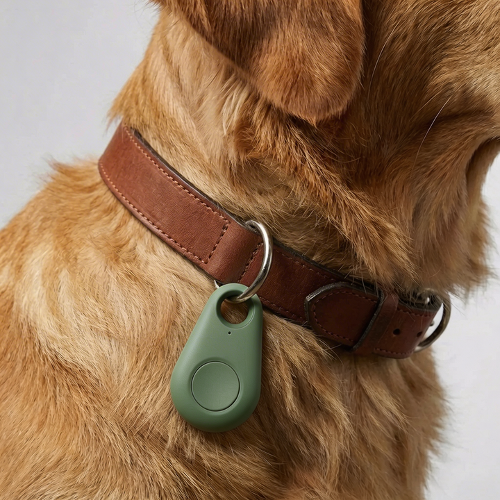 Rastreador de Collar GPS Compacto