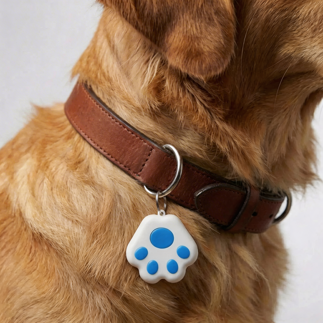 Rastreador de Collar GPS Compacto