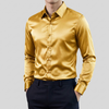Camisa de Manga Larga Clásica de Estiramiento para Hombres