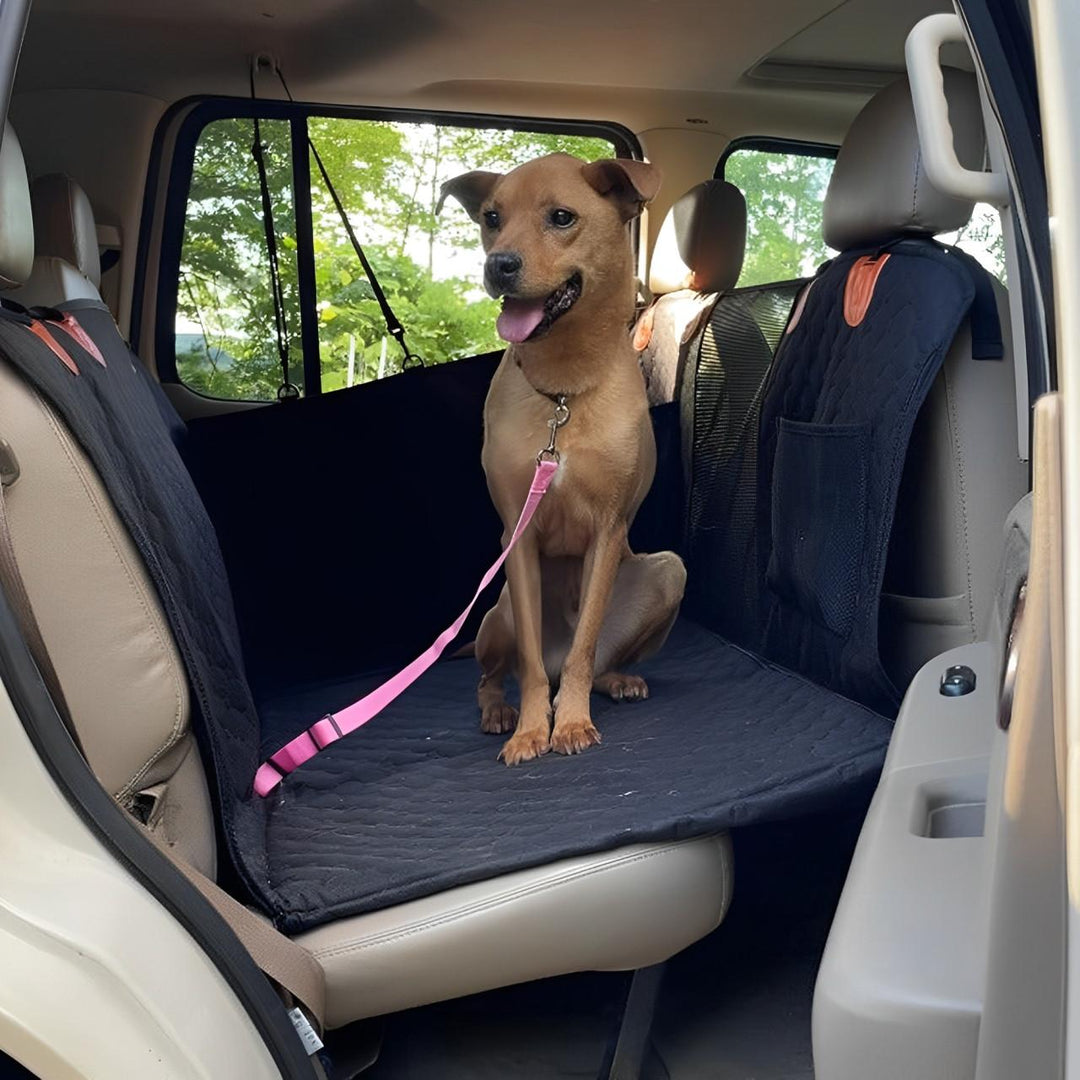 Cobertura de Coche para Perros