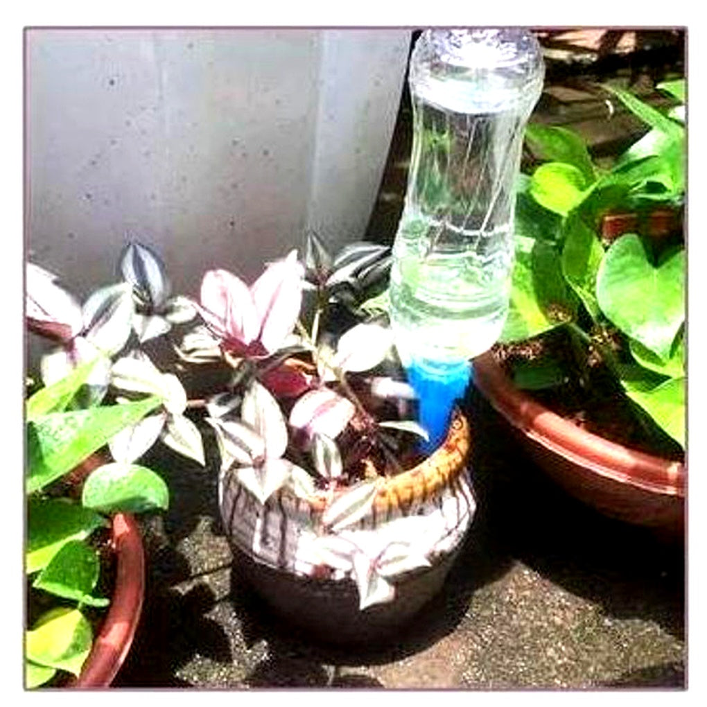 Picos de riego automático para plantas (paquete de 12) – Ayuda de riego con flujo ajustable