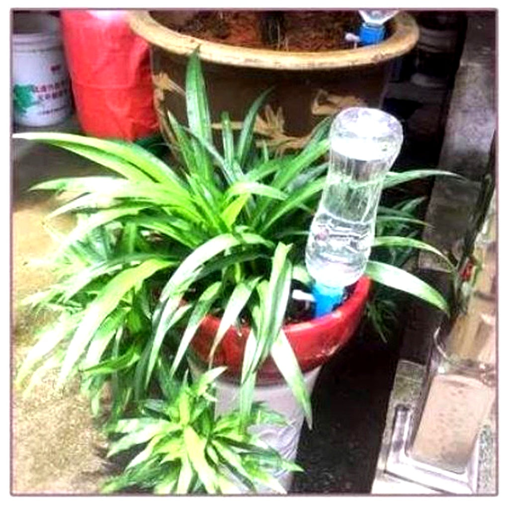 Picos de riego automático para plantas (paquete de 12) – Ayuda de riego con flujo ajustable