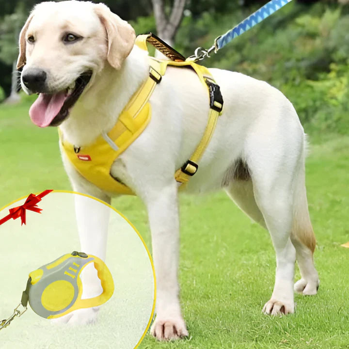 Arnés para perros con ajuste cómodo