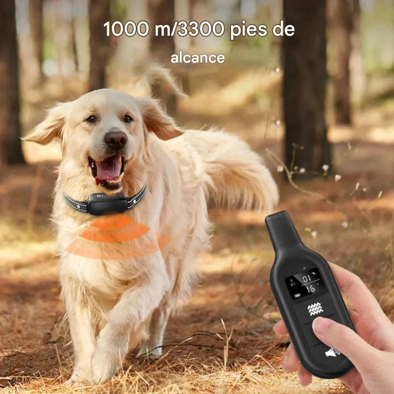 Collar de entrenamiento eléctrico para perros con control remoto