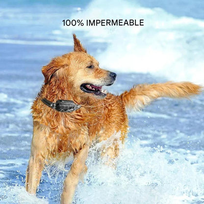 Collar de entrenamiento eléctrico para perros con control remoto